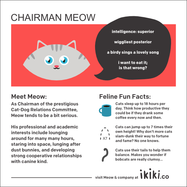 ikiki Kids Shoes ReImagined Indiegogo