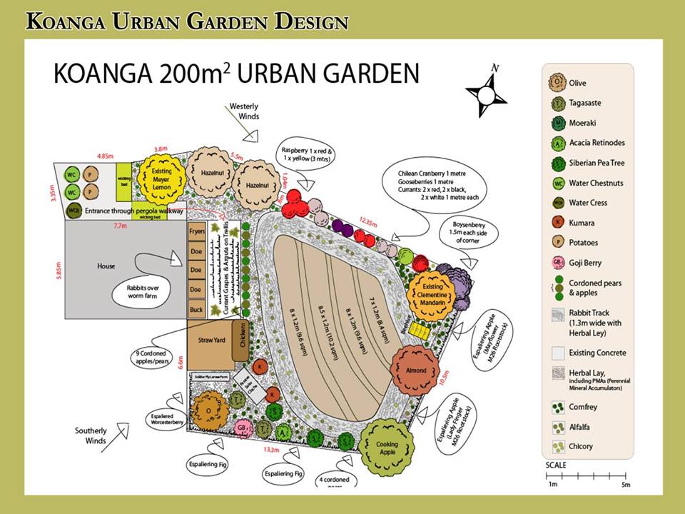 Image Result For Permaculture Garden Image Result For Permaculture Garden