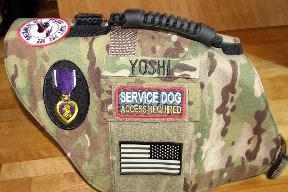 Dog Vests 4 Vets Indiegogo