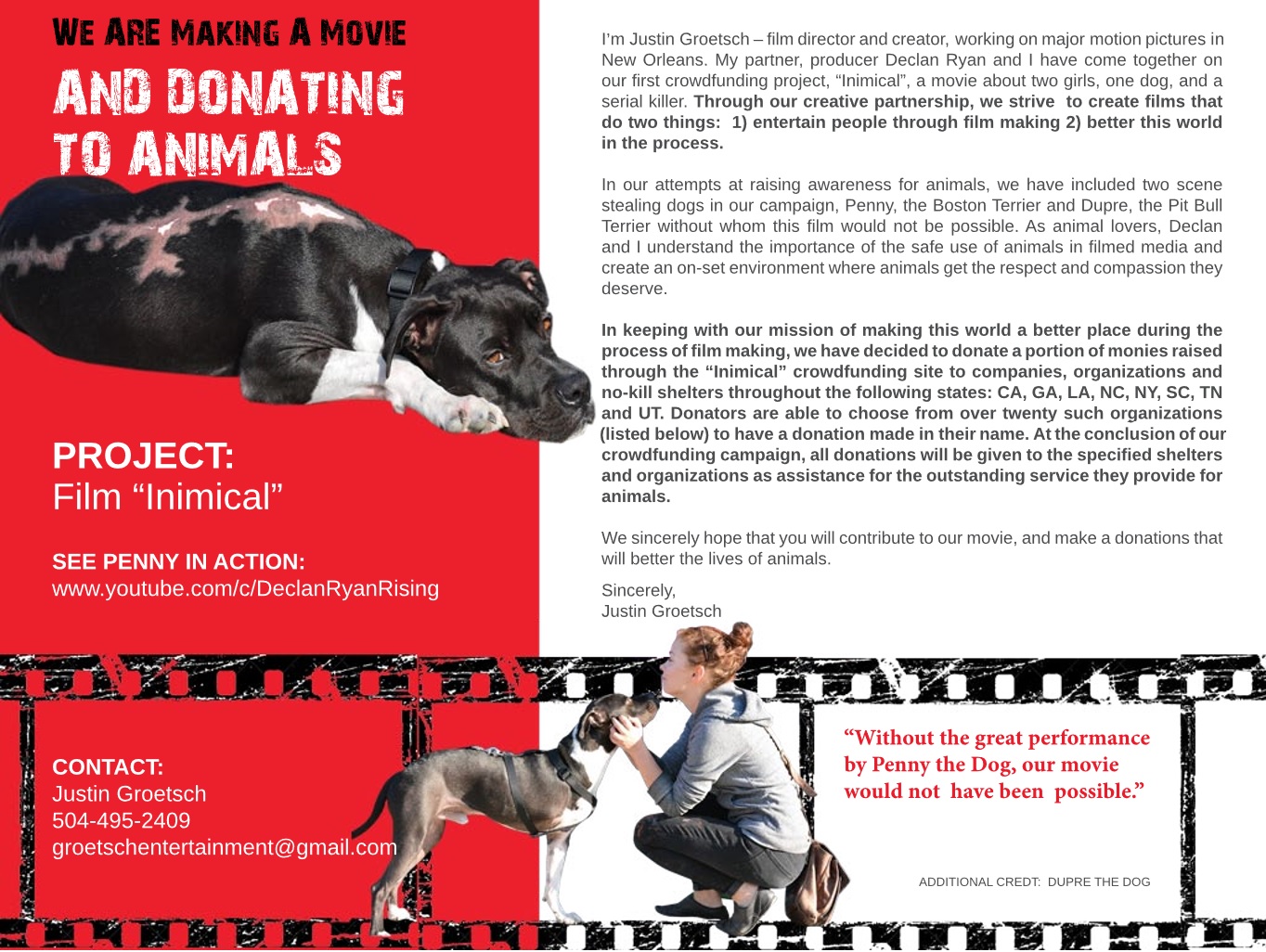 inimical make a movie while donating to animals indiegogo making a flyer for an animal