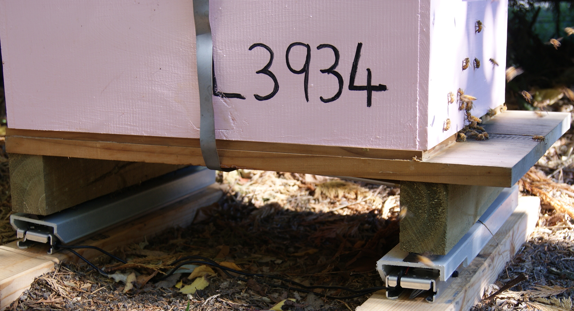 WiFi Bees Hive Scale and Smartphone App Indiegogo