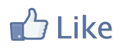 20131227085134-FACEBOOK_LIKE_GIF.png