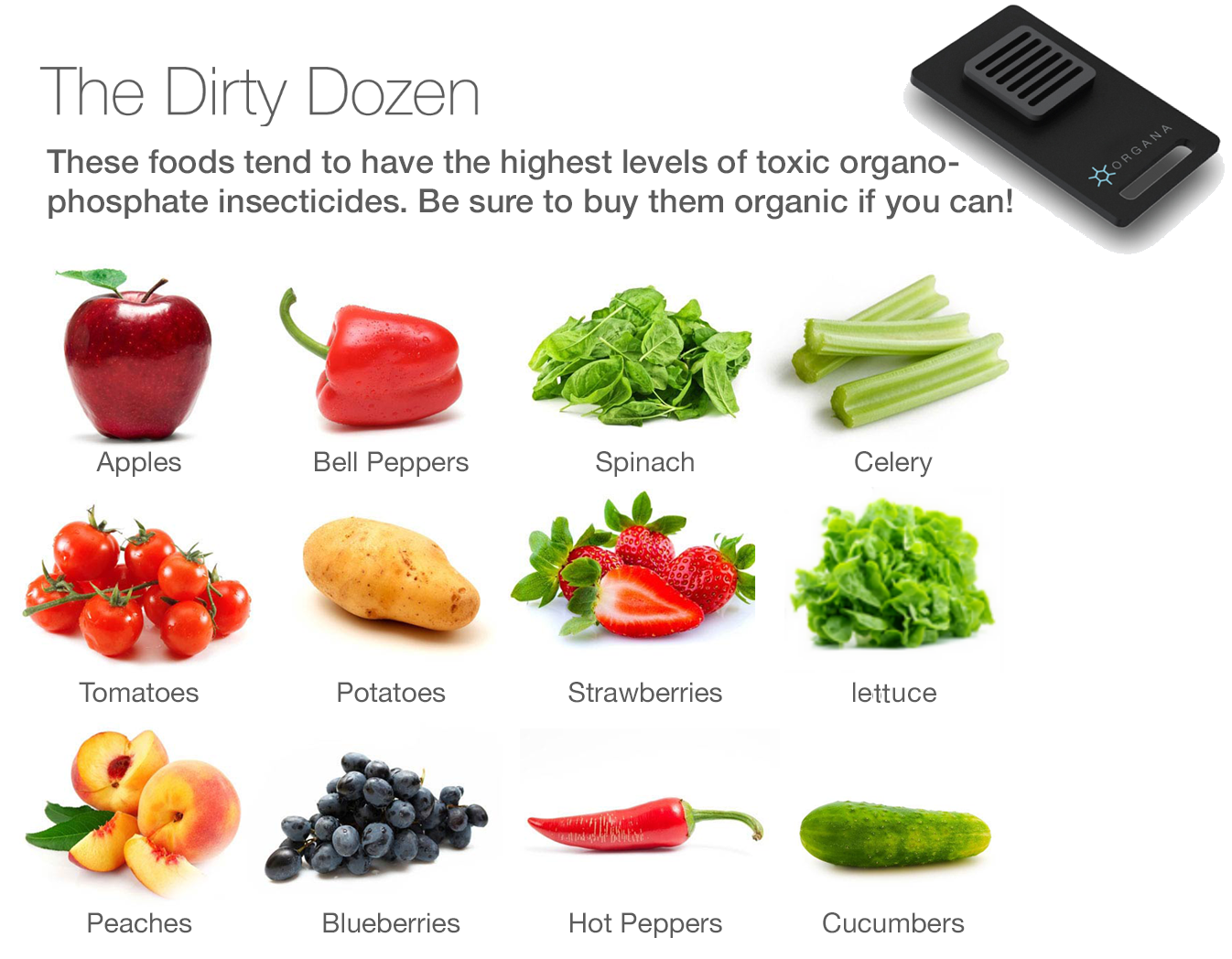 Dirty dozen forex tools