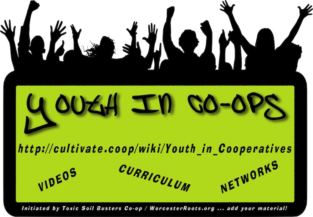 we own it campaign worcester roots project indiegogo youth mass flyer