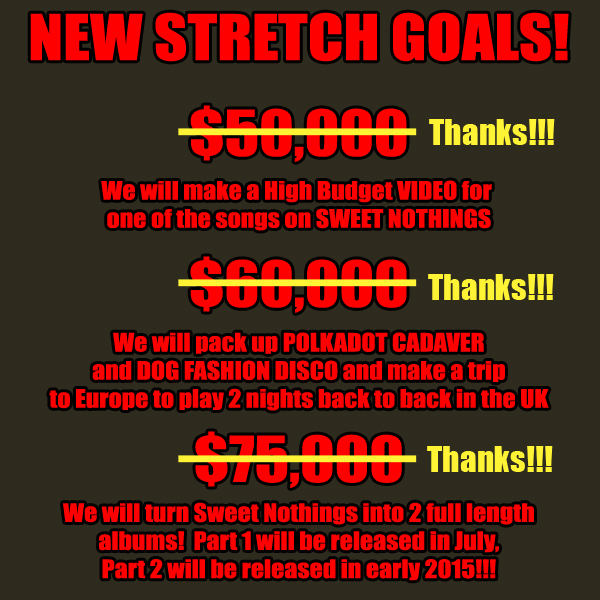 Dog Fashion Disco New Album Indiegogo