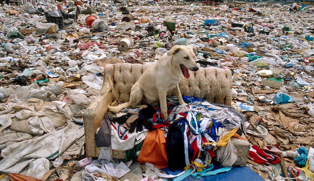 Help Save Pete's Couch Indiegogo