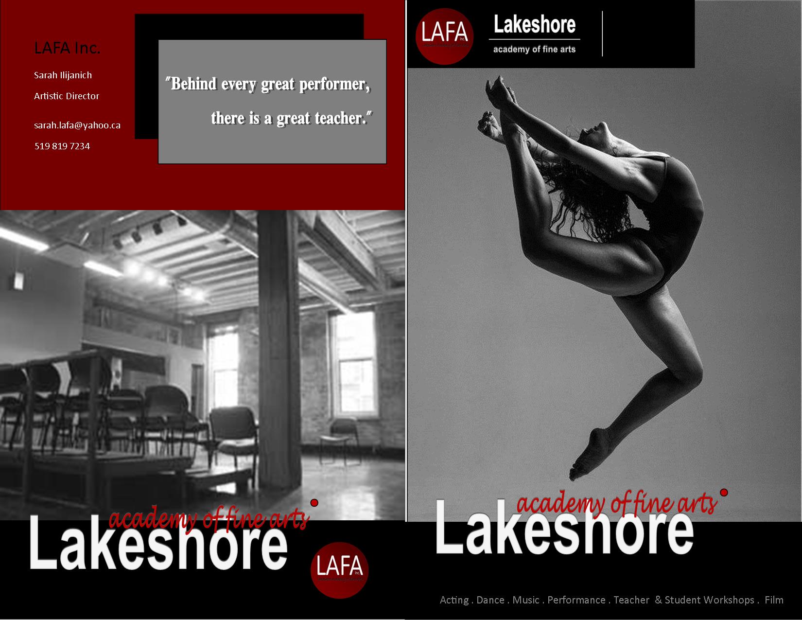 lafa needs a home campaign indiegogo brocheur