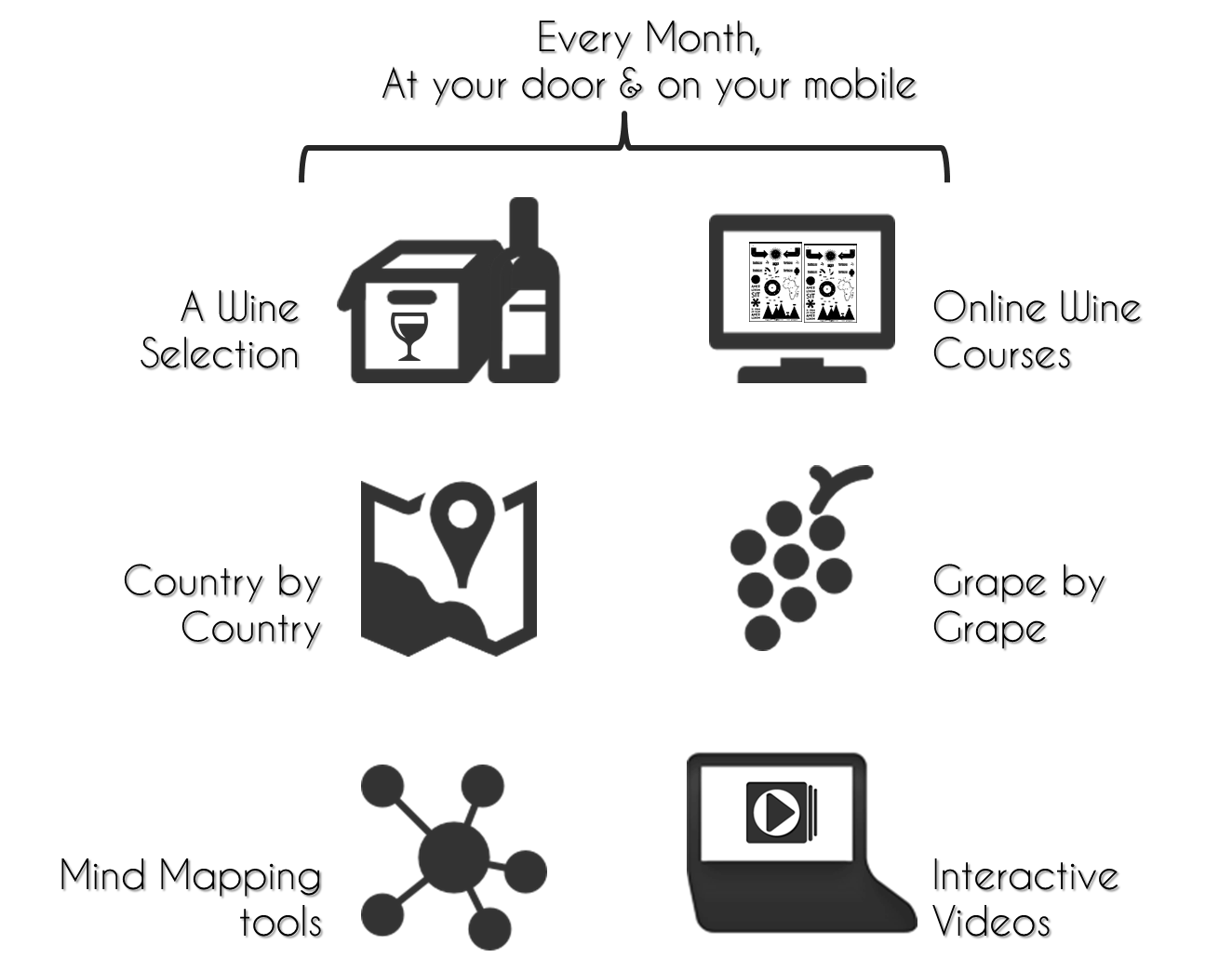 The Wine Academy The Easiest Way To Learn About Wine! Indiegogo