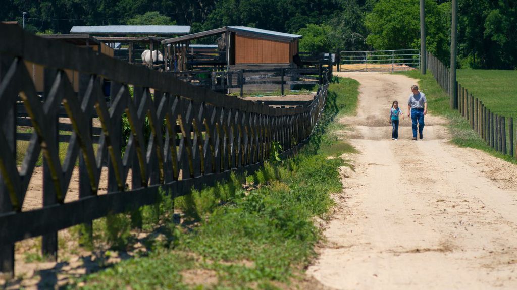 The DreamCatcher's Ranch Indiegogo
