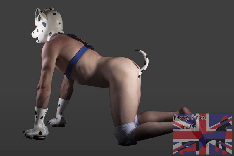 Many Foreign Women Who Are Pup Play Fetish