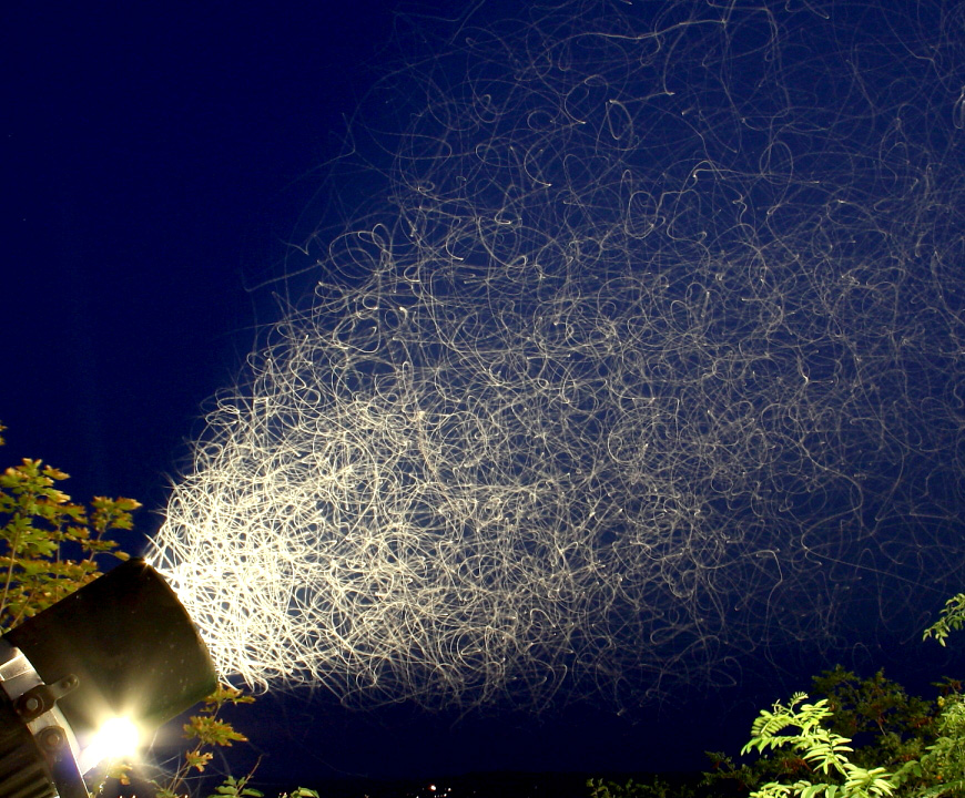 STOP light pollution and glare from luminous signs Indiegogo