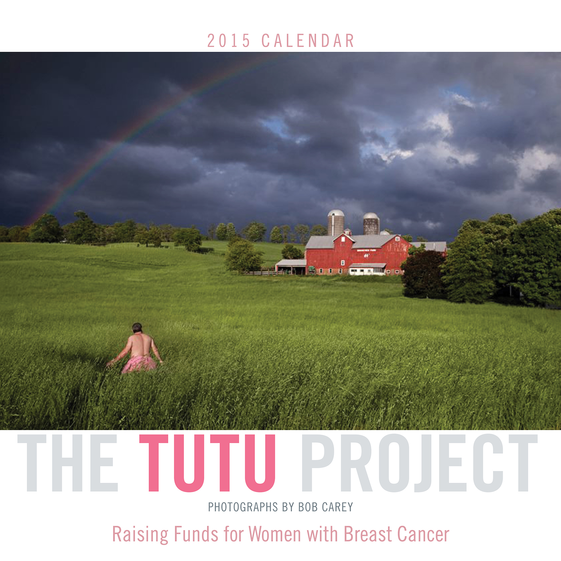 PreOrder The Tutu Project 2015 Wall Calendar Indiegogo