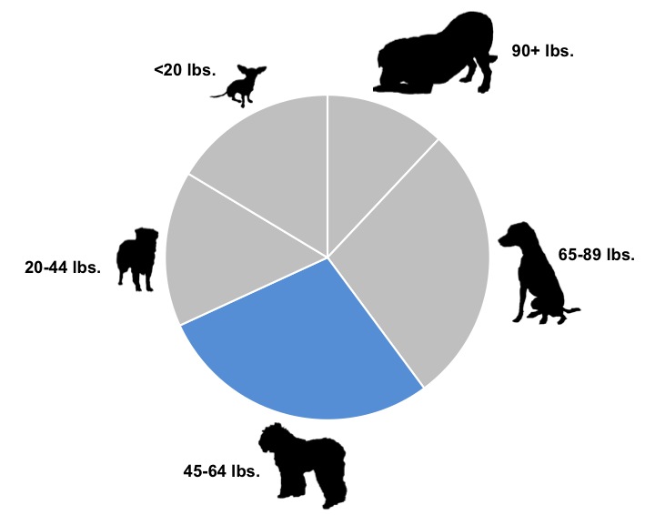 When Should You Spay or Neuter Your Puppy? - Featured Image