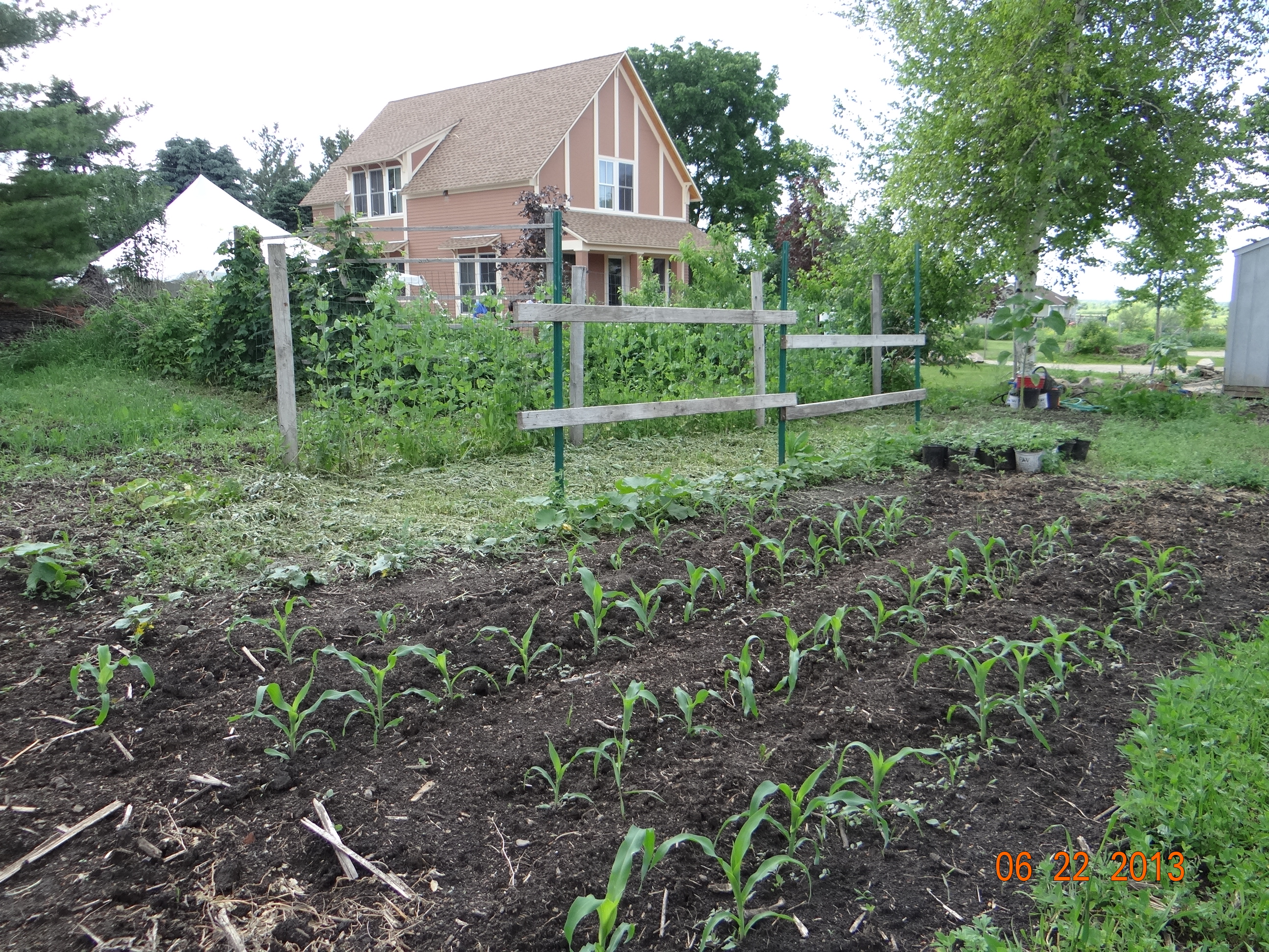 Lars' Eggs YearRound Chicken Coop Indiegogo