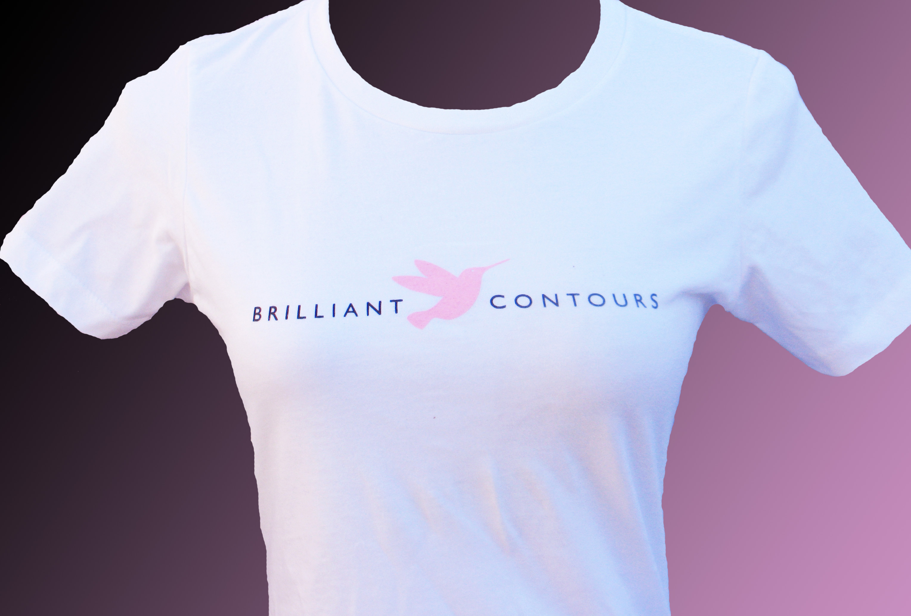 Brilliant Contours Comfort Compression Bra Indiegogo